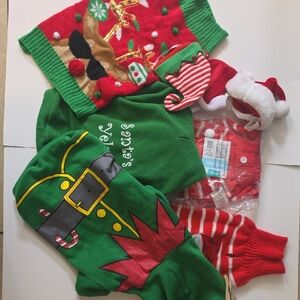 Festive Christmas Pet Outfits